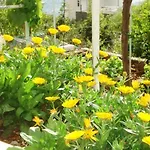 Apartament Family-friendly With Parking In Vinisce, 100 M² Vinišće